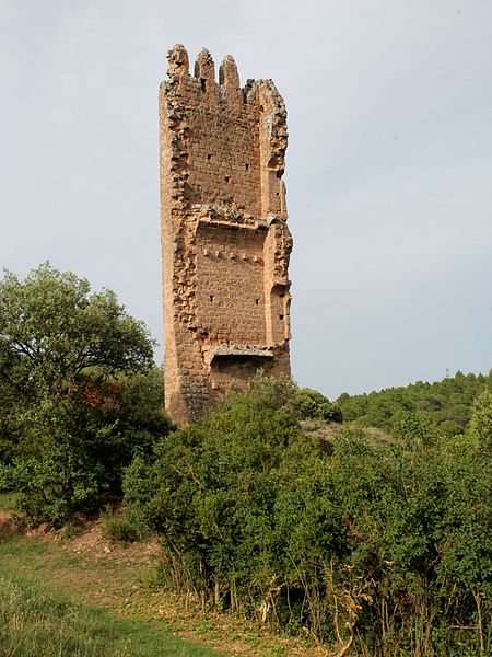 Xarxa Oberta connecta el nucli de Puig-reig